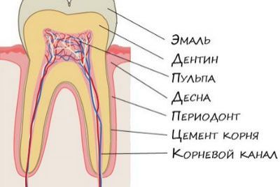 Стоматология "Mamyr Dental Clinic"