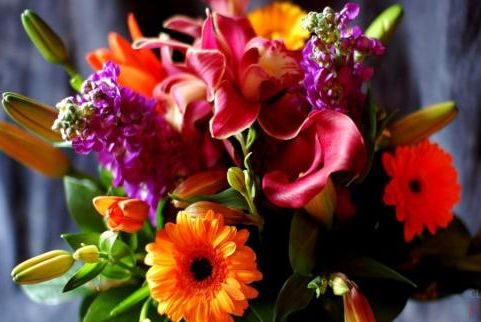 Цветы от цветочного салона "Гулдер"