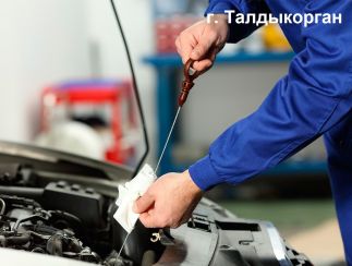 SAPA SERVICE  автомагазин и пункт замены масла